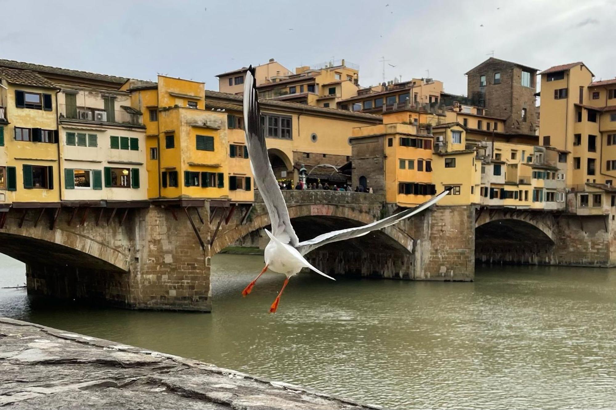 Apartamento Vintage In The Heart Of Florencia